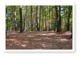 One of our very large RV sites.