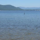 Ossipee Lake
